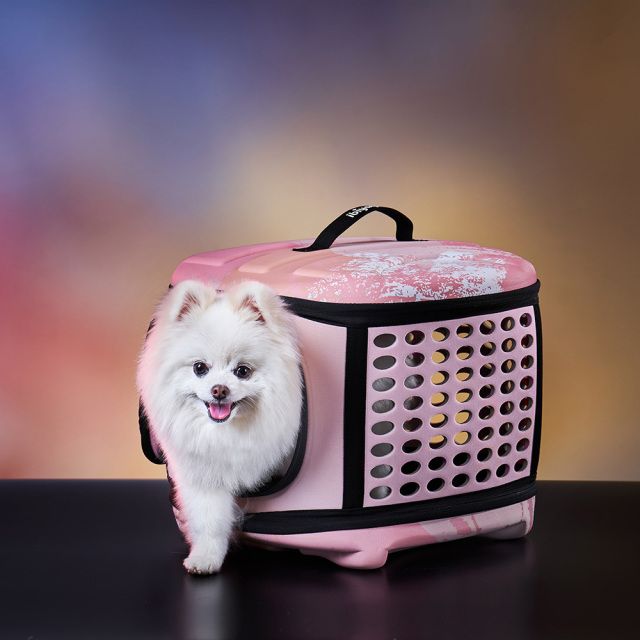 ibiyaya 折りたたみ式 コンパクト トラベリング ペット ハンドキャリー FC1006-P