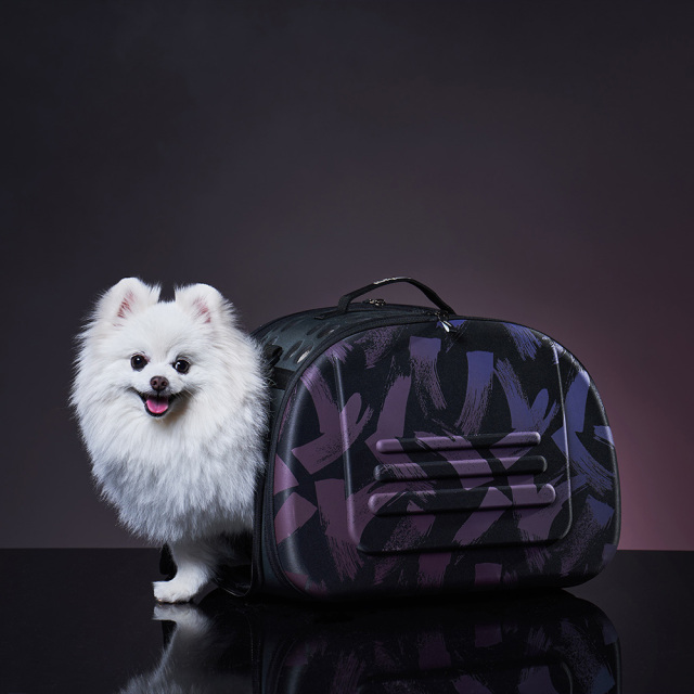 Ibiyaya クラシック ショルダー ペットキャリー 小動物 小型犬 犬 猫 うさぎ スターダスト イビヤヤ FC1007-B