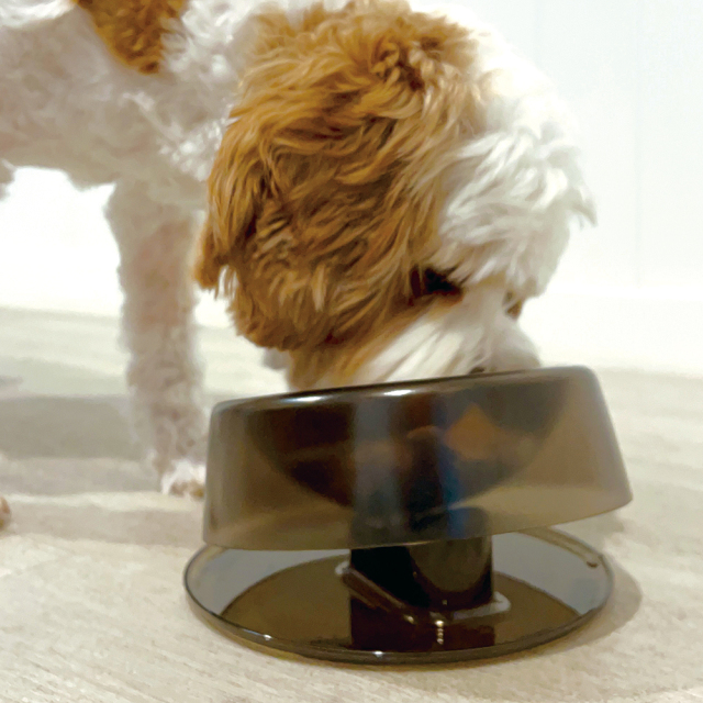 Ibiyayaペット用フィーディングボウル 犬 猫 食器台高さ調節 0度から22度までの傾斜角度調節 イビヤヤ FP0005