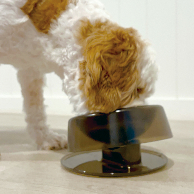 Ibiyayaペット用フィーディングボウル 犬 猫 食器台高さ調節 0度から22度までの傾斜角度調節 イビヤヤ FP0005