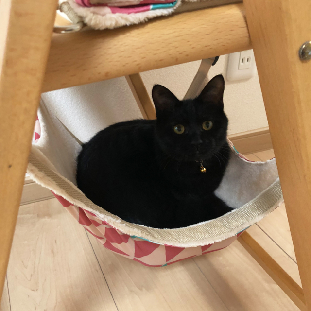 猫 キャットハンモック 温冷リバーシブル生地 東洋ケース 使用イメージ