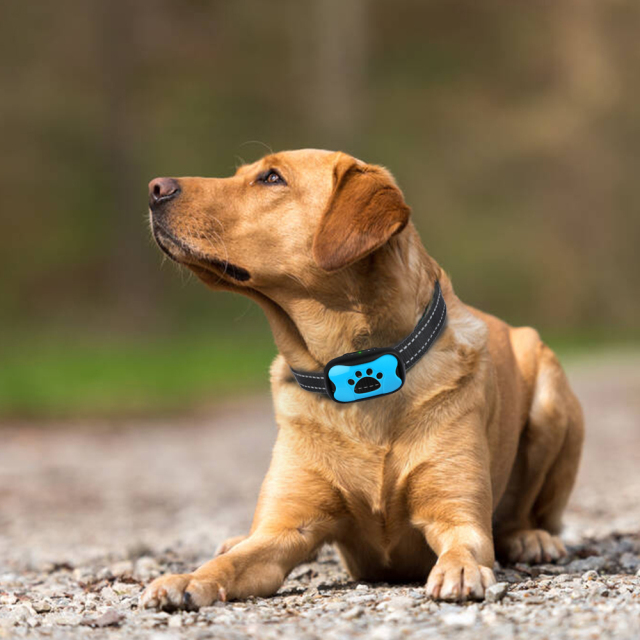 犬 しつけ用首輪 ブラック 充電式 7段階センサー 自動振動 リモコン不要 無駄吠え防止 トレーニングカラー