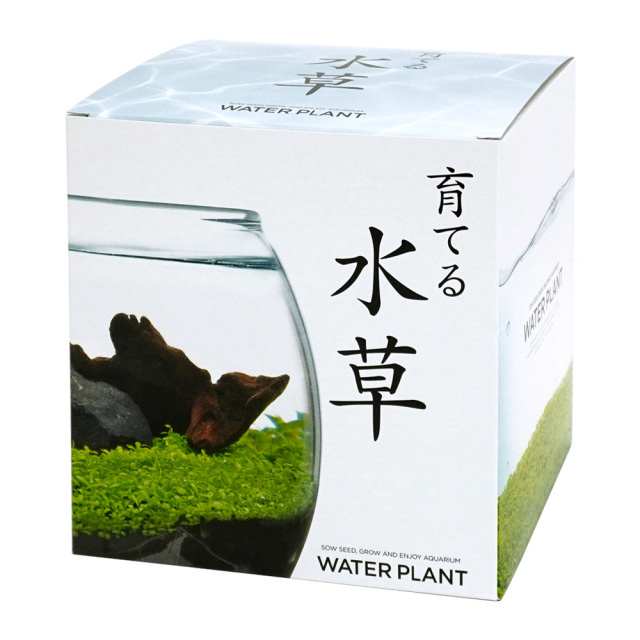 育てる水草 栽培キット Lサイズ アクアリウム ガラス鉢 流木 苔 聖新陶芸