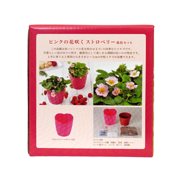 予約受付中※現品２つ♡春を育てる苺ポットR♡ストロベリー型観葉植物セット ピンクの花咲くストロベリー栽培キット ハートポット 観葉植物