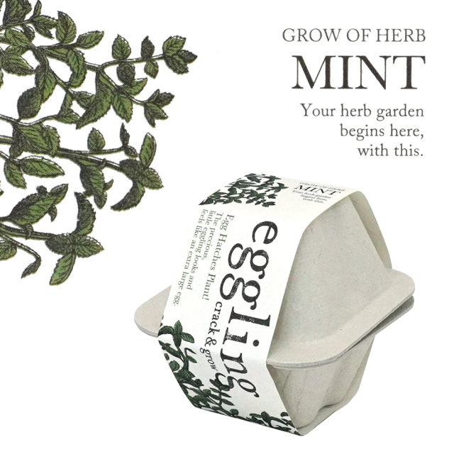 ハーブ栽培キット ミント eggling エッグリング 聖新陶芸