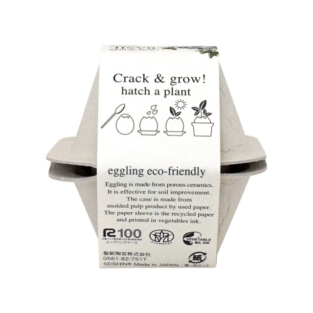 eggling エッグリング ハーブ栽培キット バジル 聖新陶芸 育て方