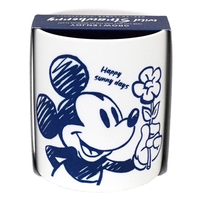 GrowCanister グローキャニスター ミッキーマウス 栽培キット ワイルドストロベリー 陶器製鉢 聖新陶芸 裏面