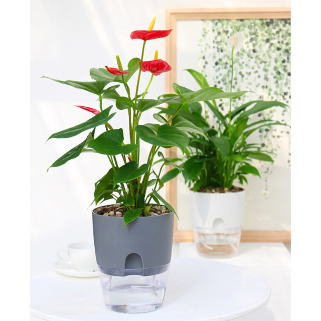 セルフ給水プランター 4個セット(白・グレー) フラワーポット プラスチック 植木鉢 底面給水 自動 屋内 観葉植物・花・ハーブ・多肉植物