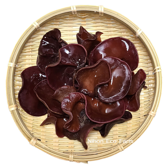 純国産 生きくらげ250g 茨城県産 安心 安全農薬不使用 国産の菌床栽培 日本エコファーム