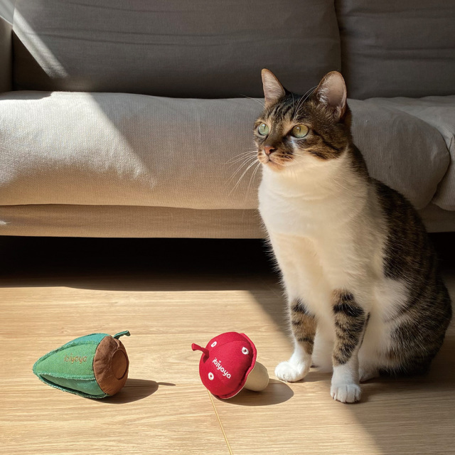 Ibiyayaウィスカーリシャス子猫用噛みおもちゃ おいしいオクラ イビヤヤ GF23001-02