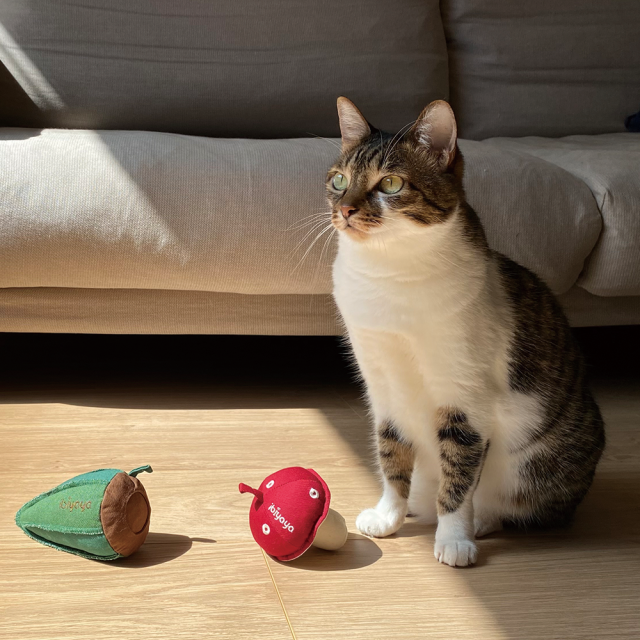 Ibiyayaウィスカーリシャス子猫用噛みおもちゃ マッシュルーム イビヤヤ GF23001-01