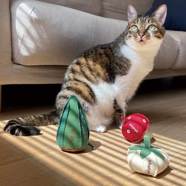 Ibiyayaウィスカーリシャス子猫用噛みおもちゃ マッシュルーム イビヤヤ GF23001-01