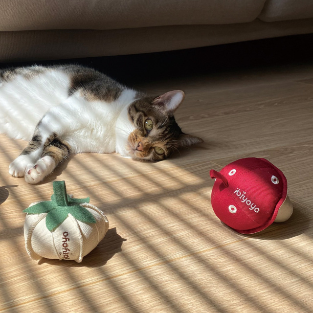Ibiyayaウィスカーリシャス子猫用噛みおもちゃ マッシュルーム イビヤヤ GF23001-01
