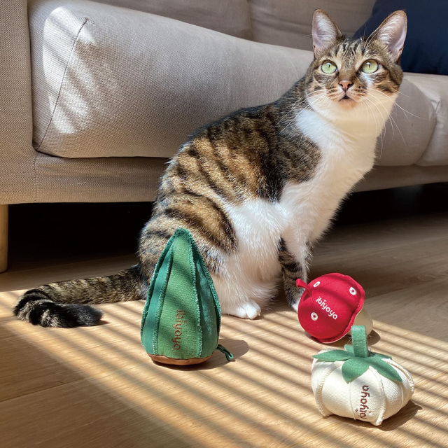 Ibiyayaウィスカーリシャス子猫用噛みおもちゃ おいしいオクラ イビヤヤ GF23001-02