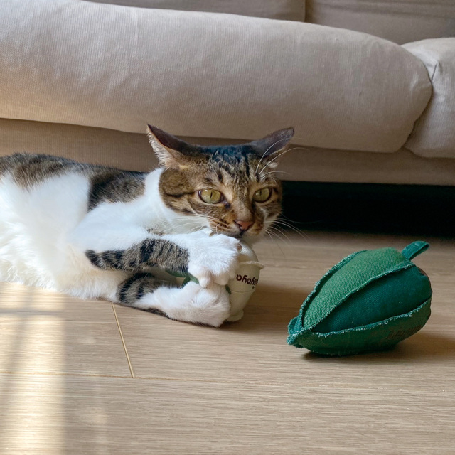 Ibiyayaウィスカーリシャス子猫用噛みおもちゃ おいしいオクラ イビヤヤ GF23001-02