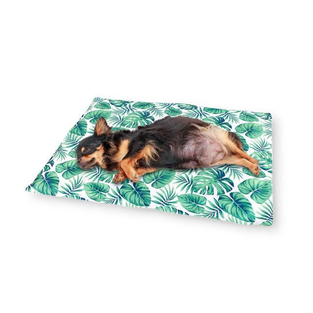 ペットマット ペットとの生活をもっと自由に 90cm200cm 90cm200cm ペットとの生活をもっと自由に ペットマット