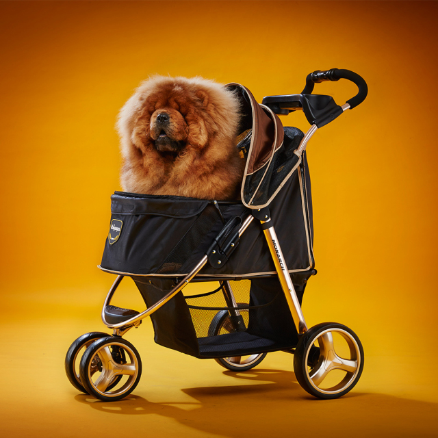 ibiyaya イビヤヤ FS1616 モナーク プレミアムペットジョガー ペットカート (ラグジュアリーゴールド) オレンジ色の壁紙背景