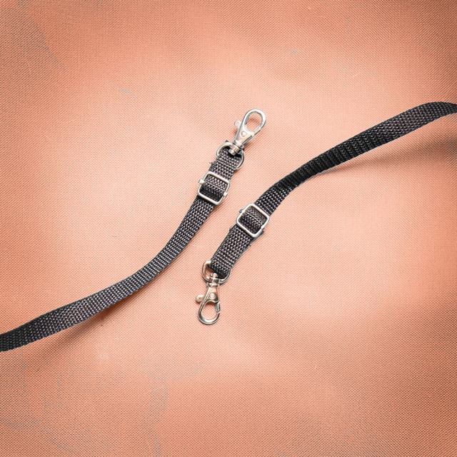 ibiyaya イビヤヤ FS1616 モナーク プレミアムペットジョガー ペットカート (ラグジュアリーゴールド) 飛び出し防止用リードが付属