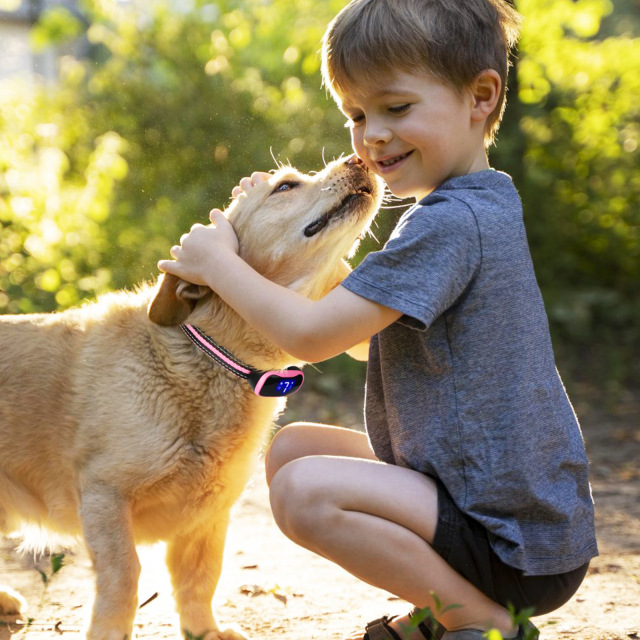 無駄吠え防止首輪 LED付 (ピンク）の使用場面