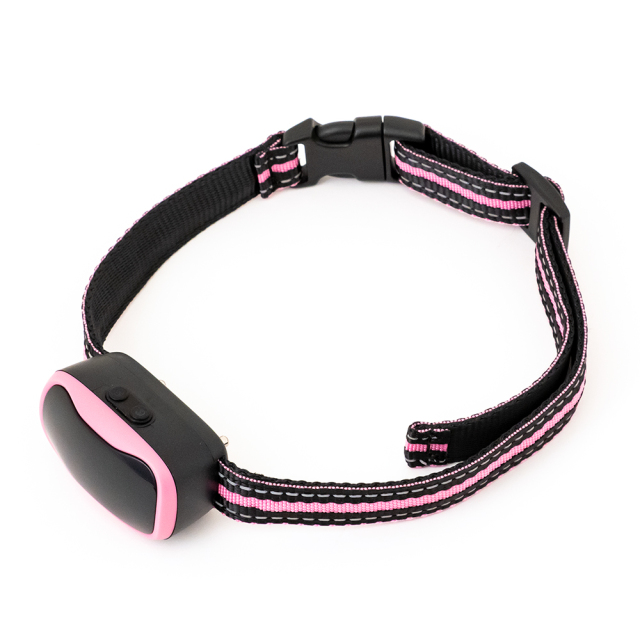 無駄吠え防止首輪 LED付 (ピンク）斜め見降ろし構図