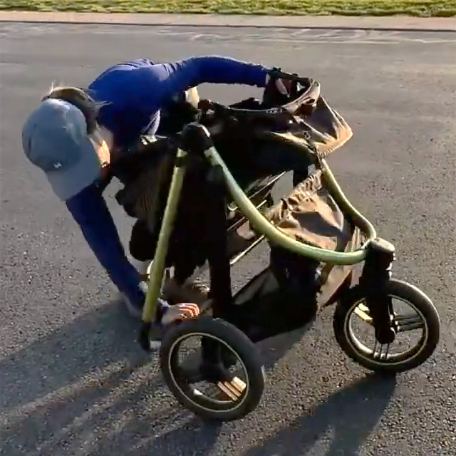 ibiyaya ビースト ペット ジョギング ストローラー ペットカート