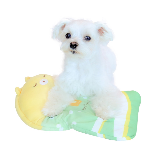 小型犬・猫用氷まくら くまちゃんフロート 氷嚢 ペッツルート 使用風景