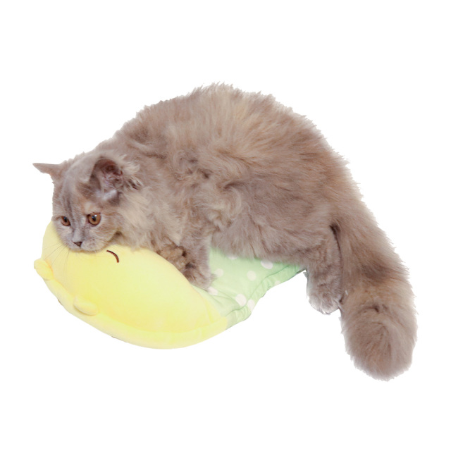 小型犬・猫用氷まくら くまちゃんフロート 氷嚢 ペッツルート 使用風景