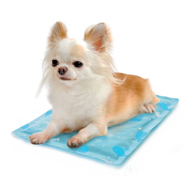 犬猫用ひえひえジェルマット クールマット 抗菌 SS ブルー ペッツルート 使用風景