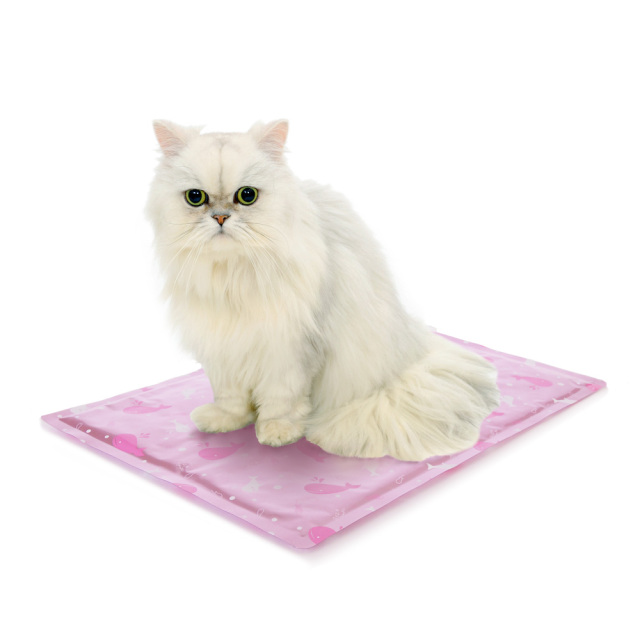 犬猫用ひえひえジェルマット クールマット 抗菌 S ピンク ペッツルート 使用風景