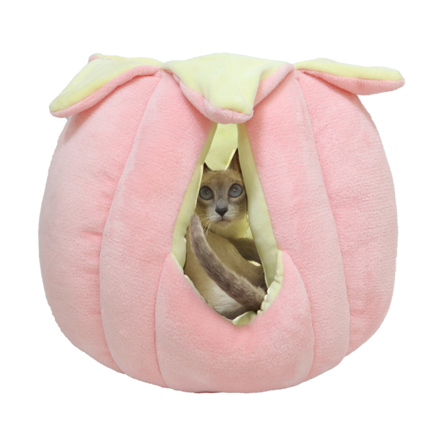 猫 キャットハウス ニャンともつぼみチューリップ ピンク ペッツルート ネコ使用風景