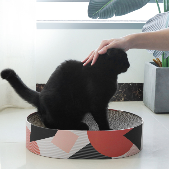 猫用 爪とぎダンボールベッド ソファ 楕円形 HEBENA 使用風景