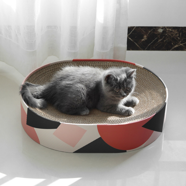 猫用 爪とぎダンボールベッド ソファ 楕円形 HEBENA 子猫使用時のサイズ感