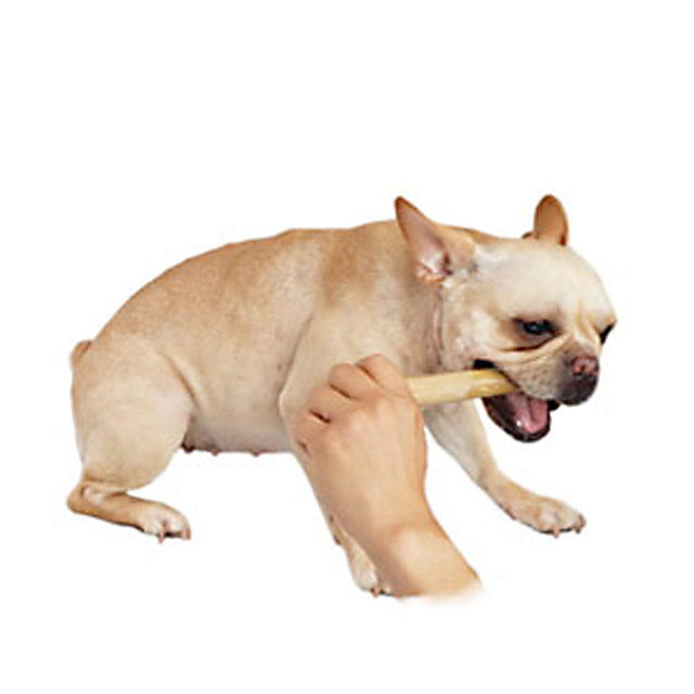 犬用おもちゃ かじり木 カフェチューウッド L 中・大型犬用 無着色 無香料 ペッツルート 仕様イメージ