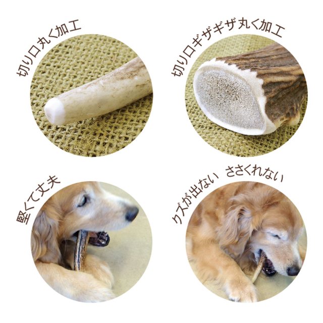 犬用おもちゃ 鹿角かじり玩具 ベニソンアントラーL 中型・大型犬用