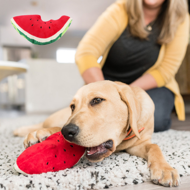 犬用おもちゃ トロピカルパラダイス ウォーターメロン スイカ 音が鳴るぬいぐるみ スクイーカー P L A Y プレイ