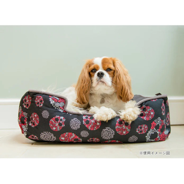 P.L.A.Y. プレイ ラウンジベッド（アーティストコレクション） スカル (サイズ：S)の上で寝そべる犬