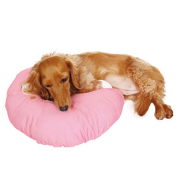 ペッツルート Petz Route 氷ベッド2way (うさぎさんピンク) 563134の上で寝そべる犬02