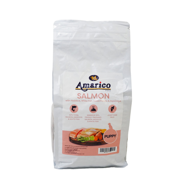 Amaricoサーモン幼犬-正面