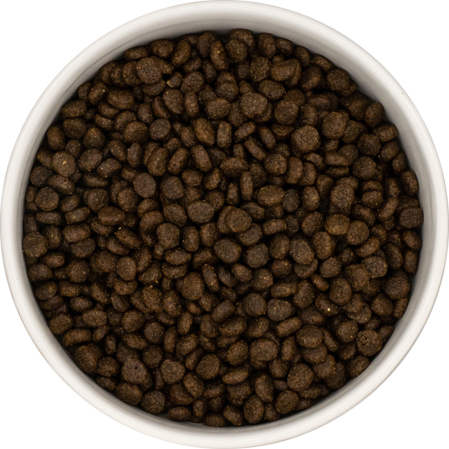 Amarico グレインフリー サーモン 小型犬 成犬用2kg