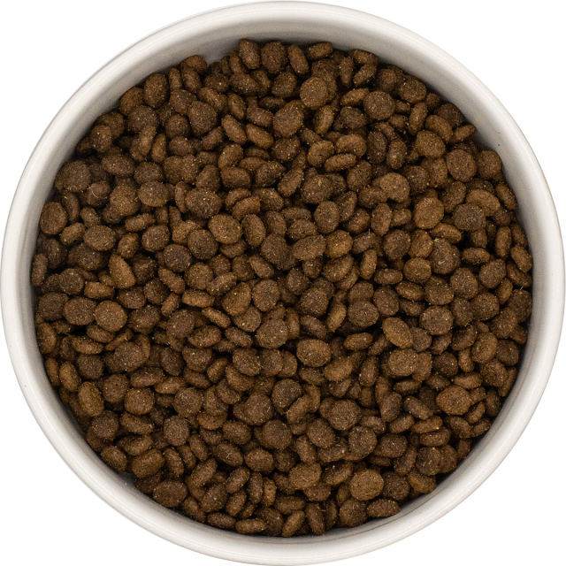 Amarico グレインフリー ラム 小型犬 成犬用2kg×1 ラム サツマイモ