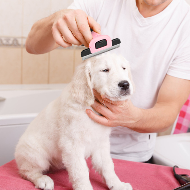 ステンレス製ペットコーム 犬猫 トリミング ムダ毛・毛玉取り グルーミング 刃の取り外し可能 使用風景