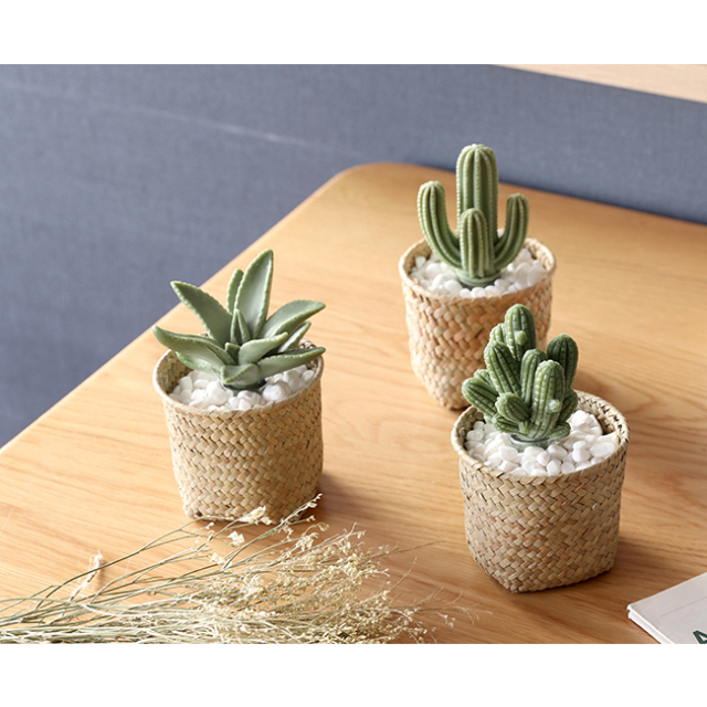 mercyu(メルシーユー) Nordic Collection リードディフューザー インテリア