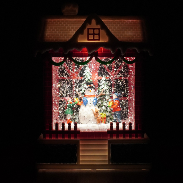 クリスマス置物 スノーイングハウスライト スノードーム 電子オルゴール 暗闇でのライトアップ 正面
