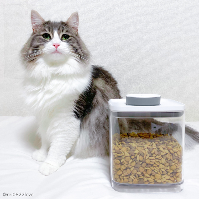 真空保存容器 ターンシール 密閉容器 エバーロック 密封・密閉・遮光 ANKOMN 使用イメージ ペットフード コーヒー豆