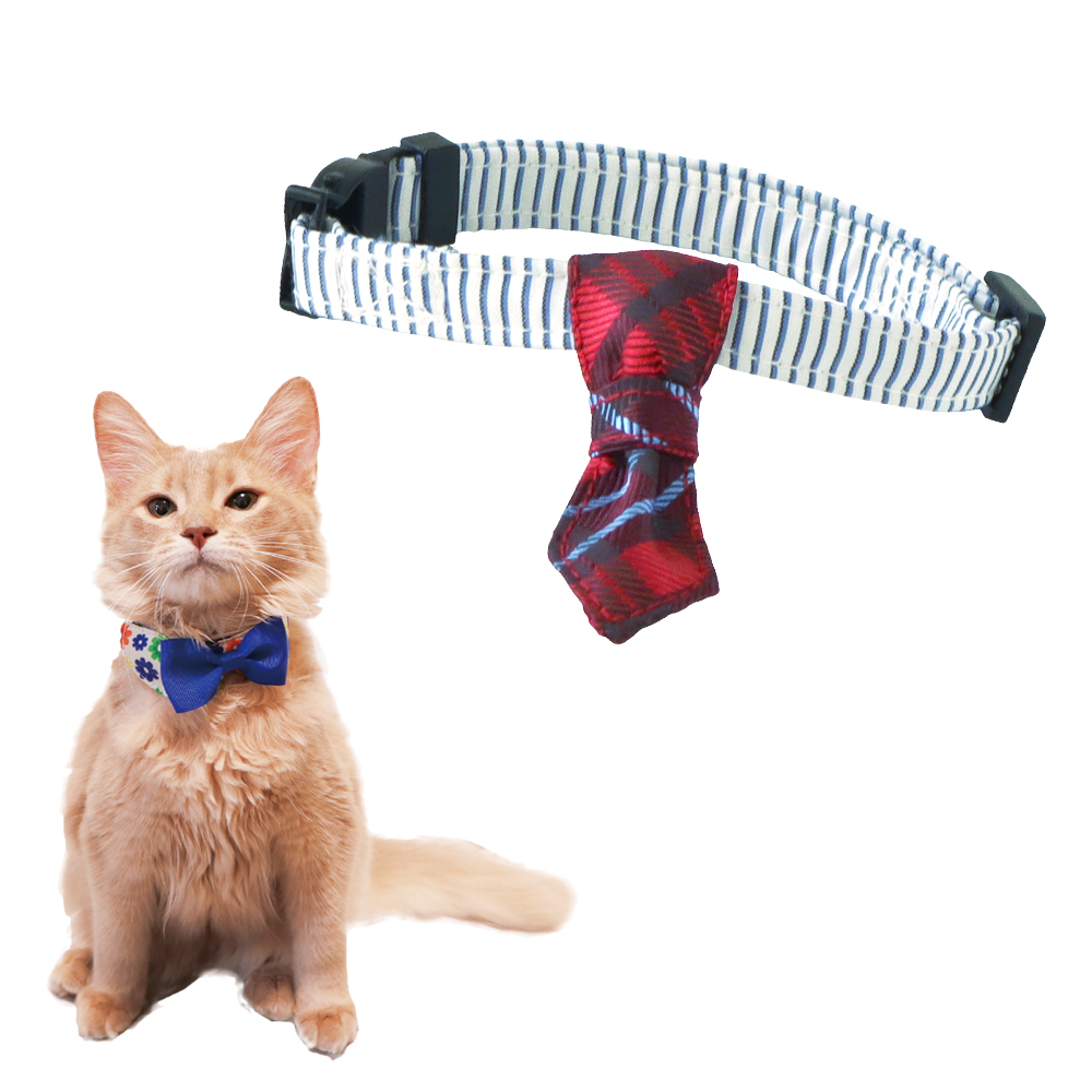 Amazon | 猫 首輪 3点セット ネコ 首輪 多色 ペット用首輪