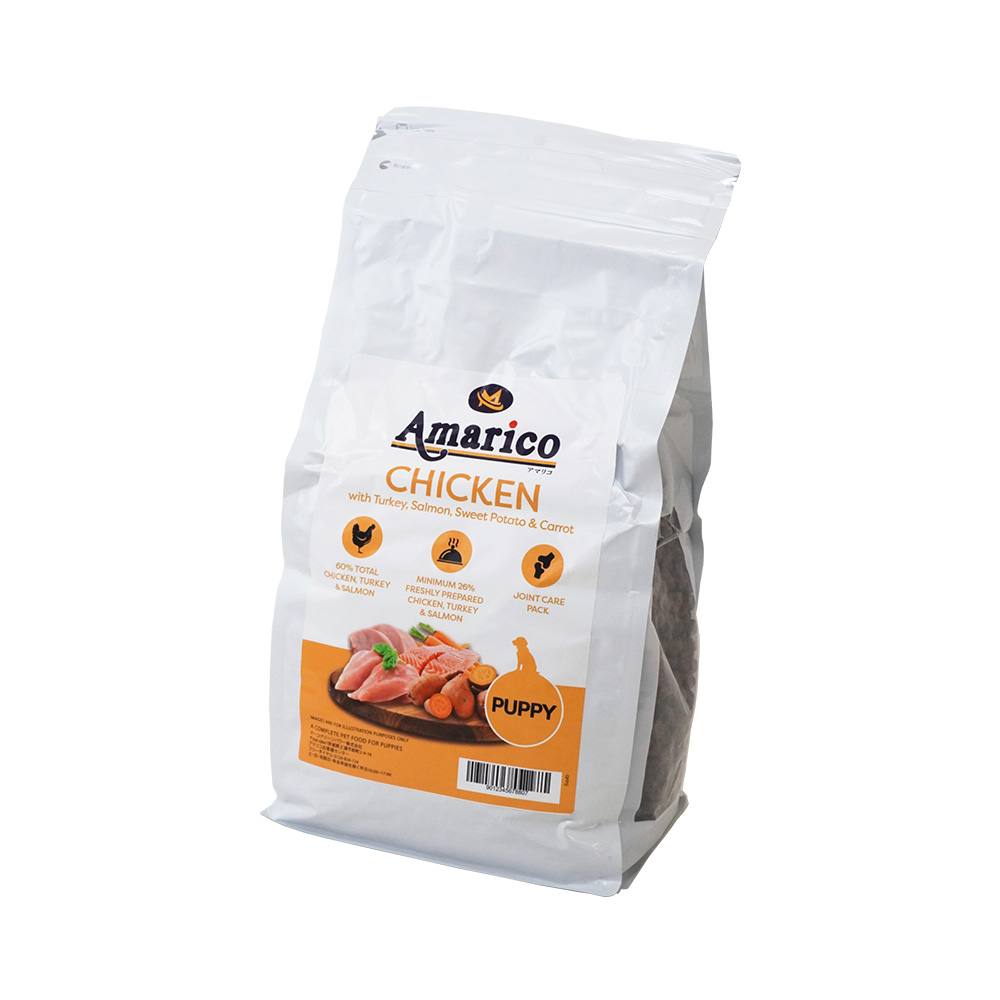 Amaricoチキン幼犬-アングル