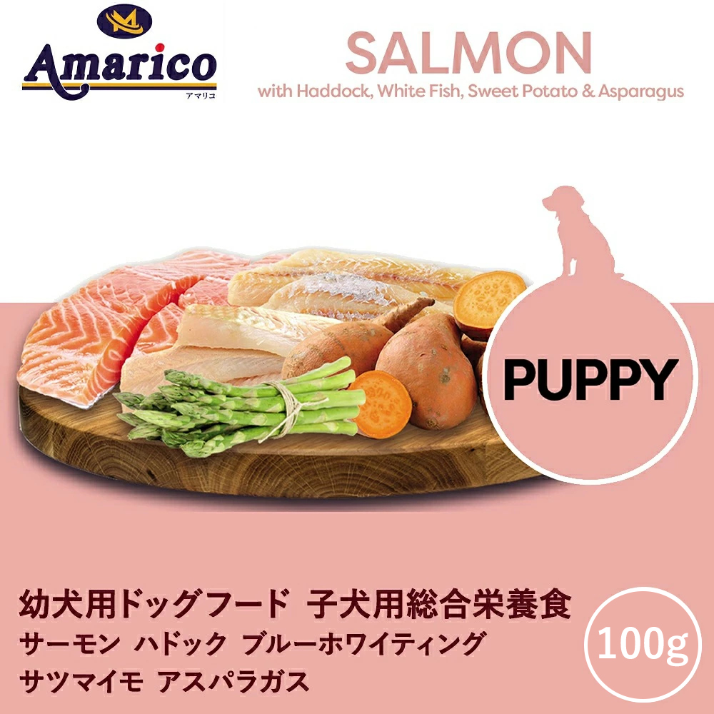 Amarico グレインフリー サーモン幼犬用100g