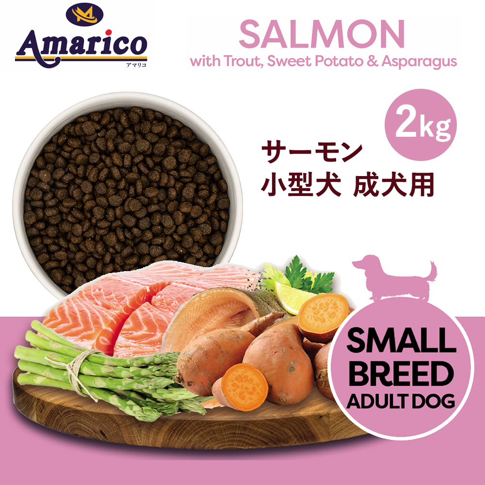 Amarico グレインフリー サーモン 小型犬 成犬用2kg