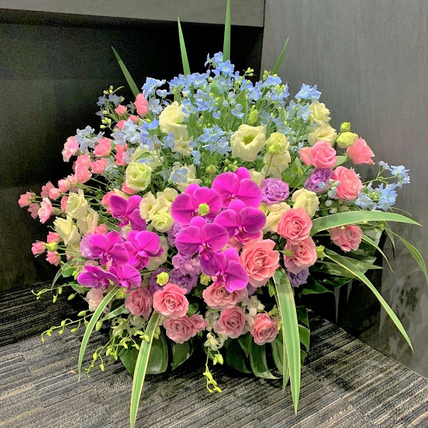 胡蝶蘭ピンク 水色 誕生日 結婚記念日 劇場 発表会 移転ＸＬ アレンジメント