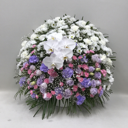 3315　【供花】スフェアアレンジメントPP胡蝶蘭入り（H75）　Ｃスタイル